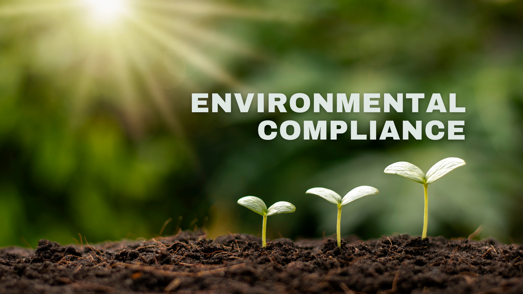 Environmental Compliance: Turning Regulations into Competitive Advantage