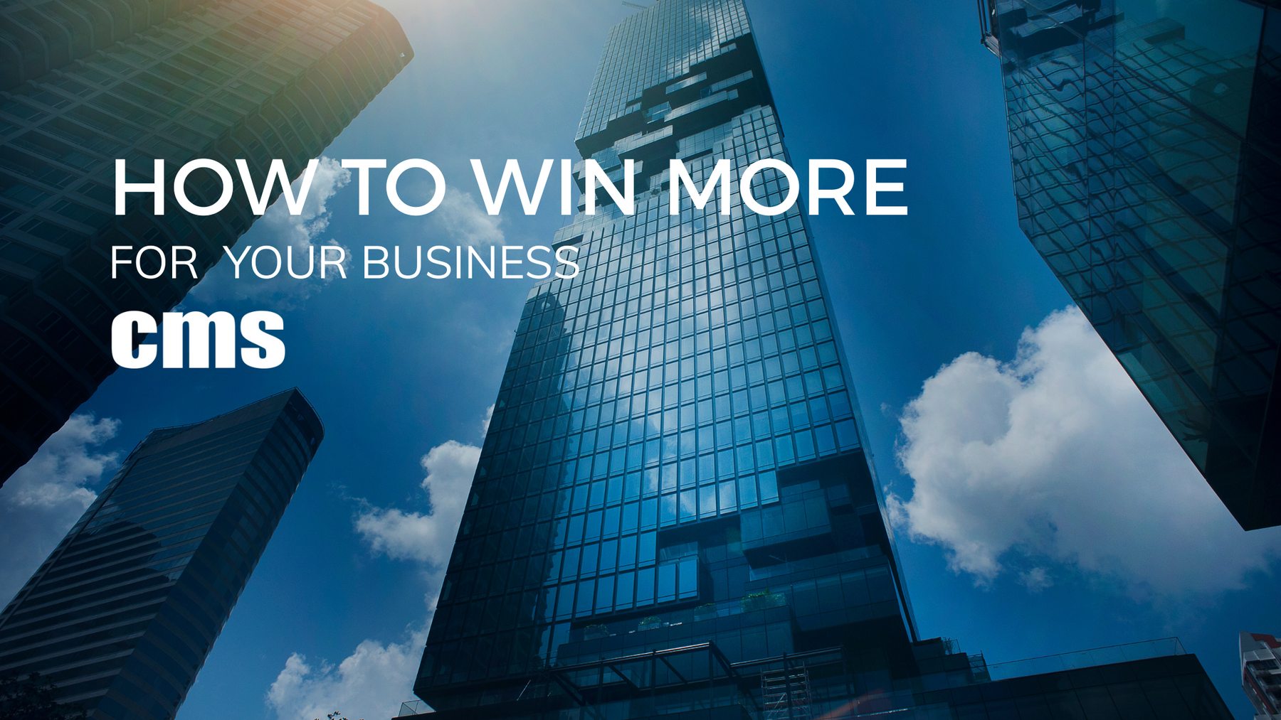 Contract Mastery: Protecting Your Interests While Winning More Business