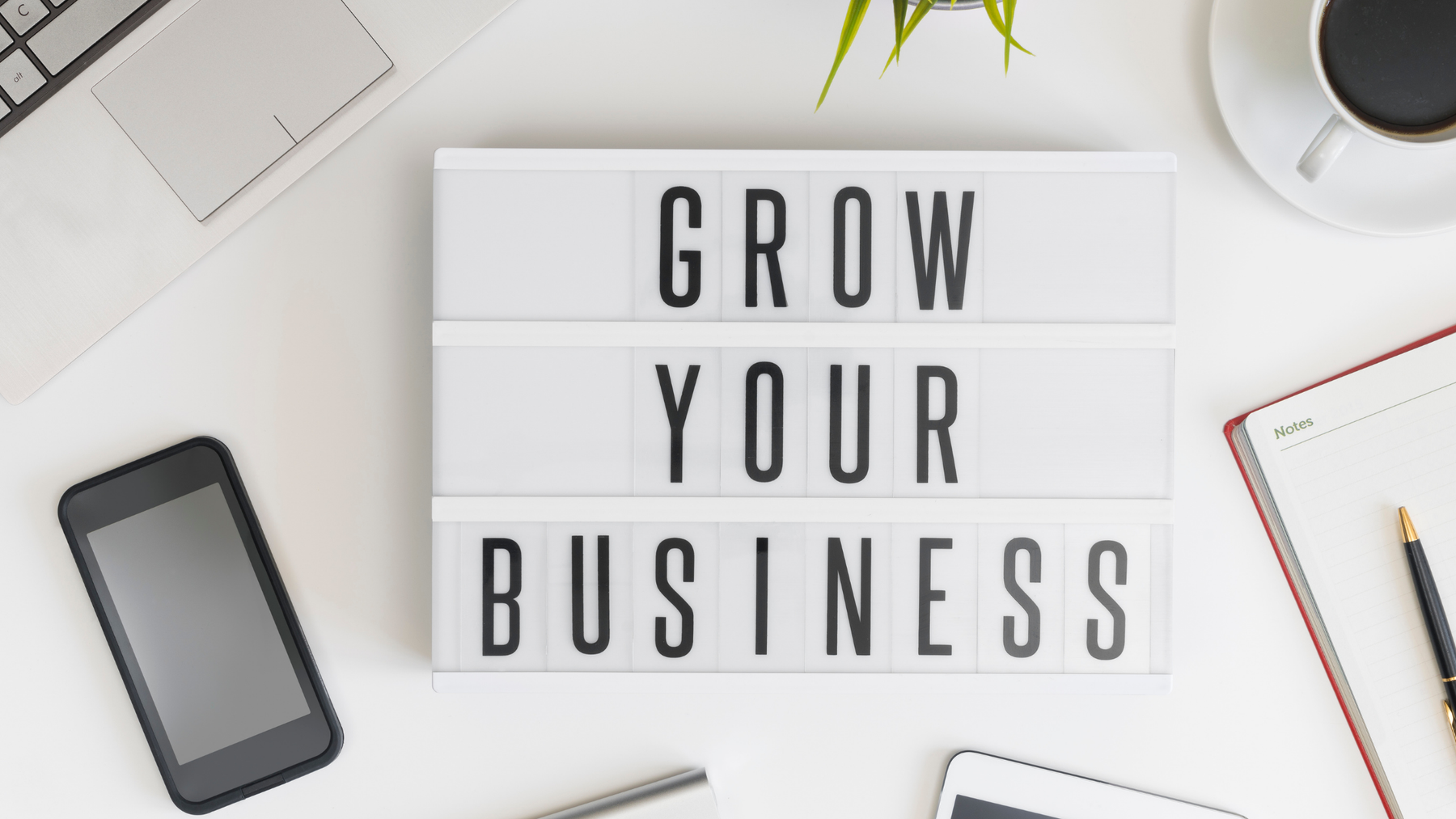 Cash Flow Mastery: Never Miss Payroll Again
