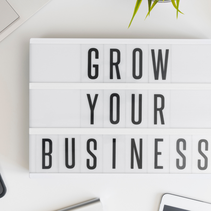 Cash Flow Mastery: Never Miss Payroll Again