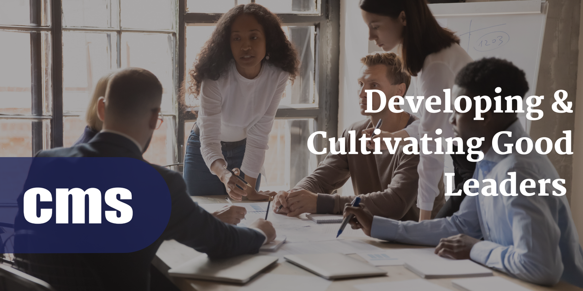 Building a Leadership Pipeline: Developing Your Next Generation of Man ...