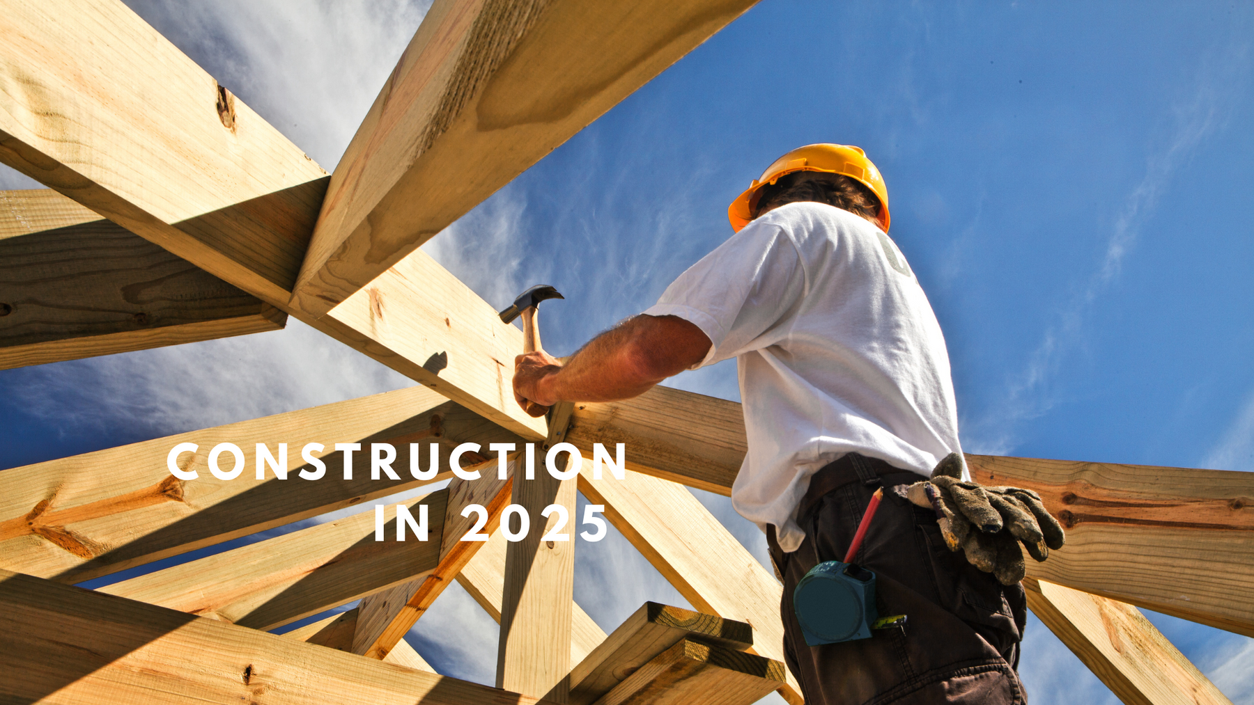 Market Specialization: How Builders Are Dominating Their Niche