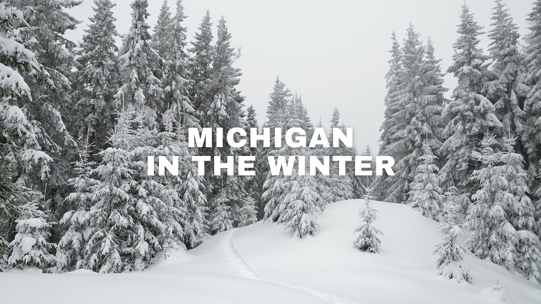 Material Strategies for Michigan Winters: Building for Long-Term Performance