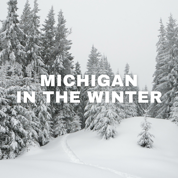 Material Strategies for Michigan Winters: Building for Long-Term Performance