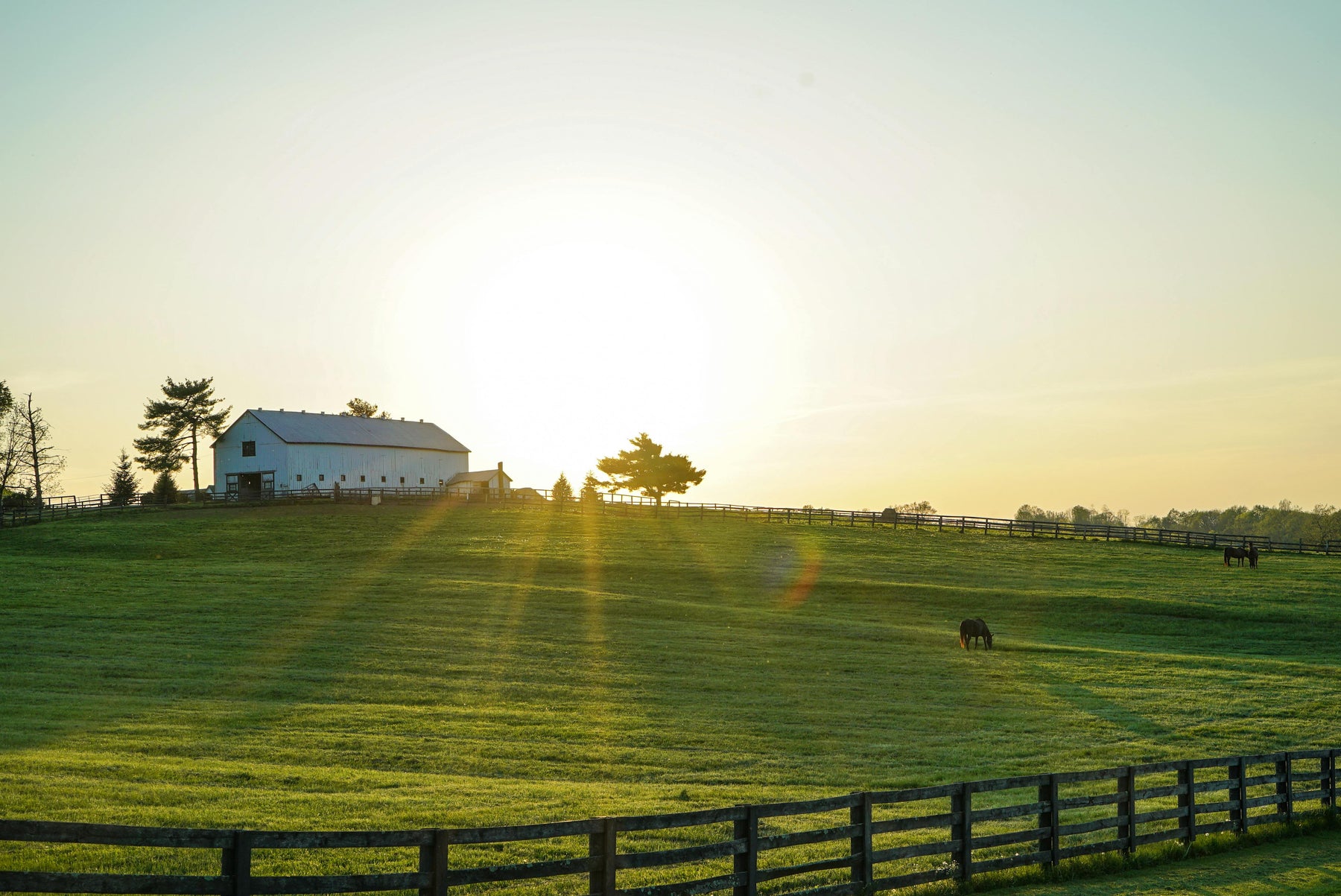 Why You Should Build a Pole Barn on Your Property: A Smart and Versatile Solution