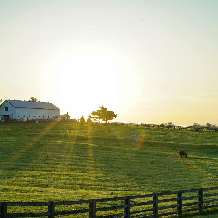 Why You Should Build a Pole Barn on Your Property: A Smart and Versatile Solution