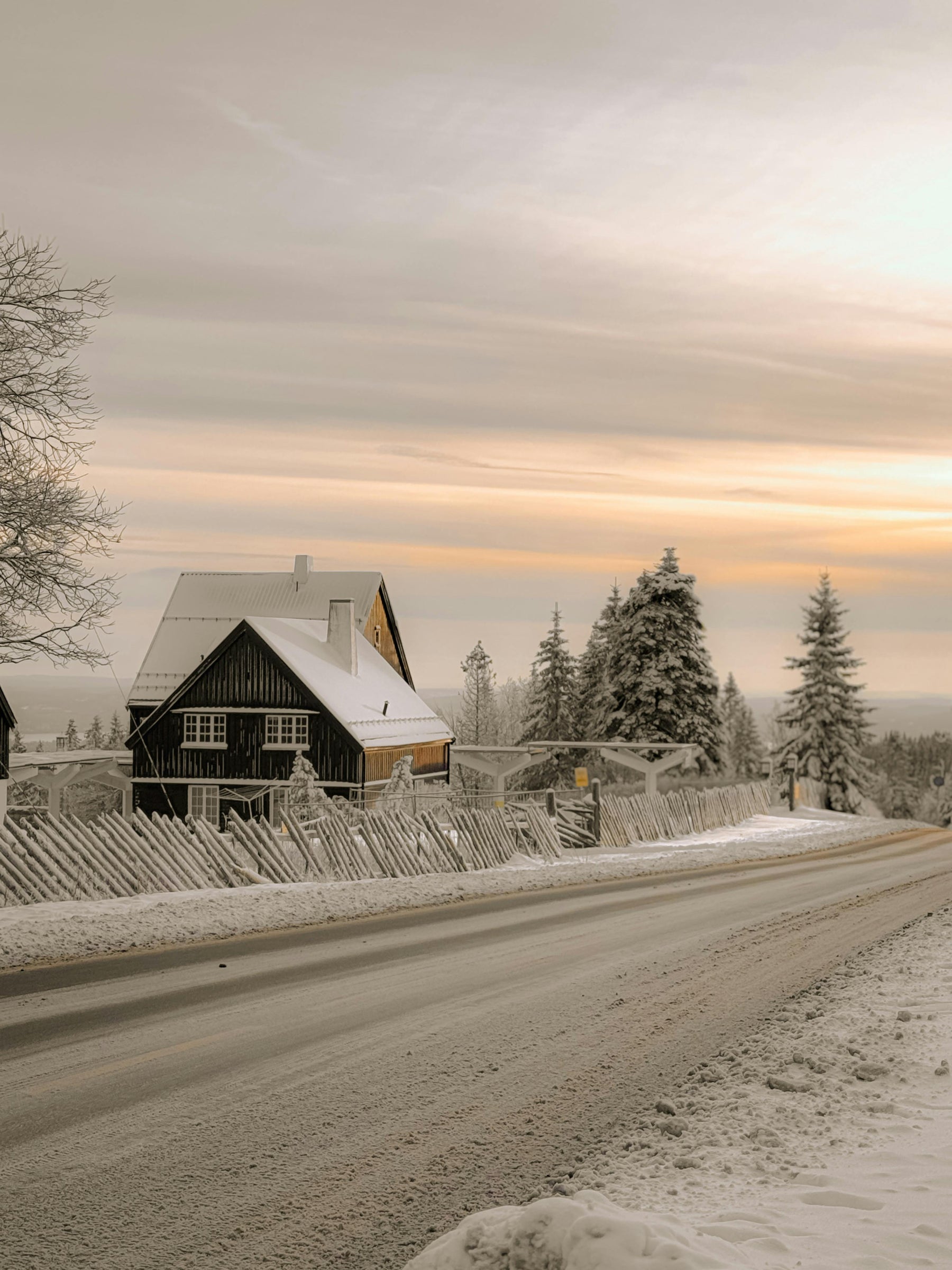 How to Build a Disaster-Resilient Home: Materials and Techniques That Last